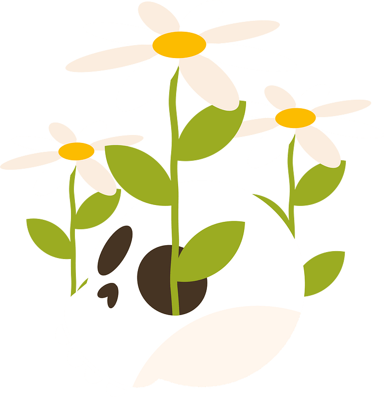 Flowers in the skull