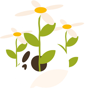 Flowers in the skull