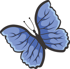 Butterfly with blue wings