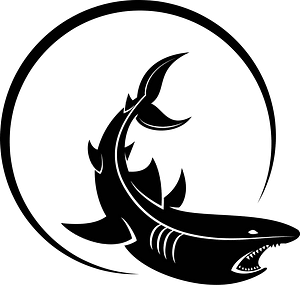 Shark in water