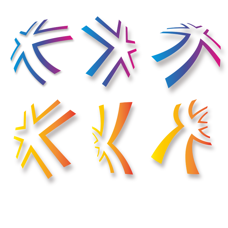 Star logotype concept design