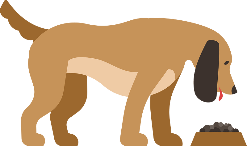 Dog eating food