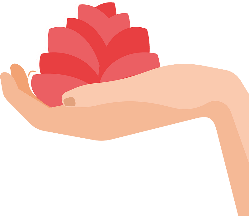 Lotus flower in hand