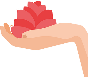 Lotus flower in hand