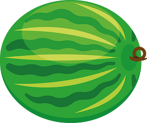 Large watermelon
