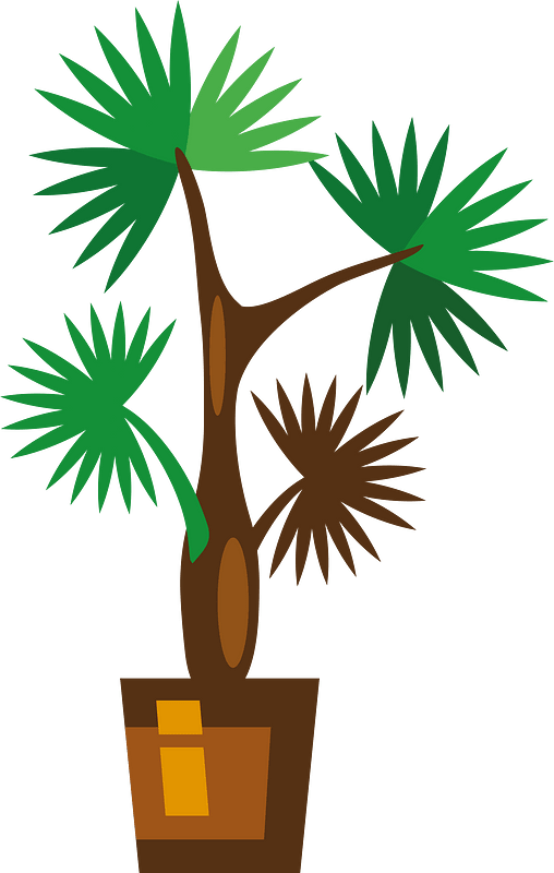 Potted houseplant