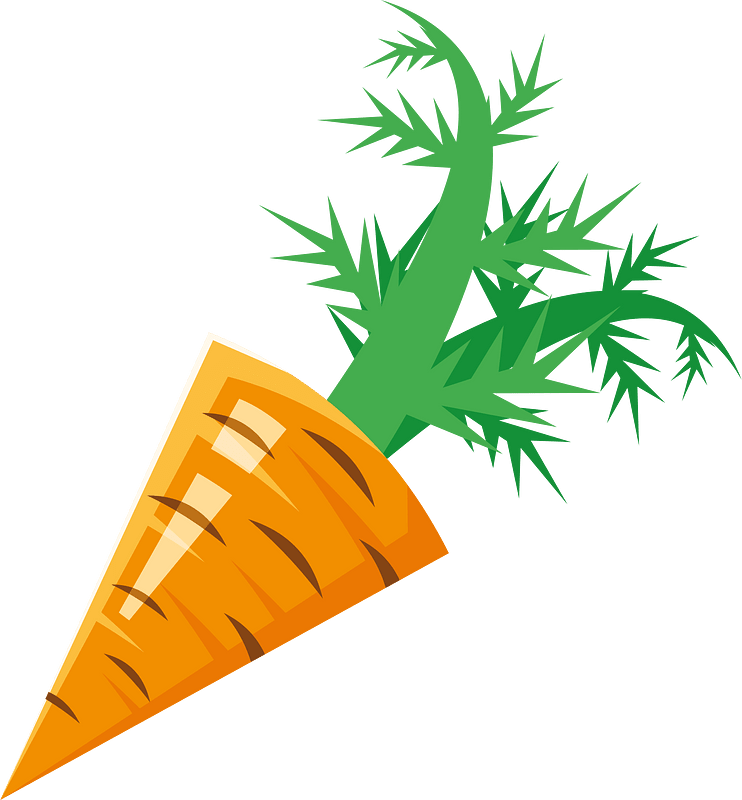 Carrot vegetable