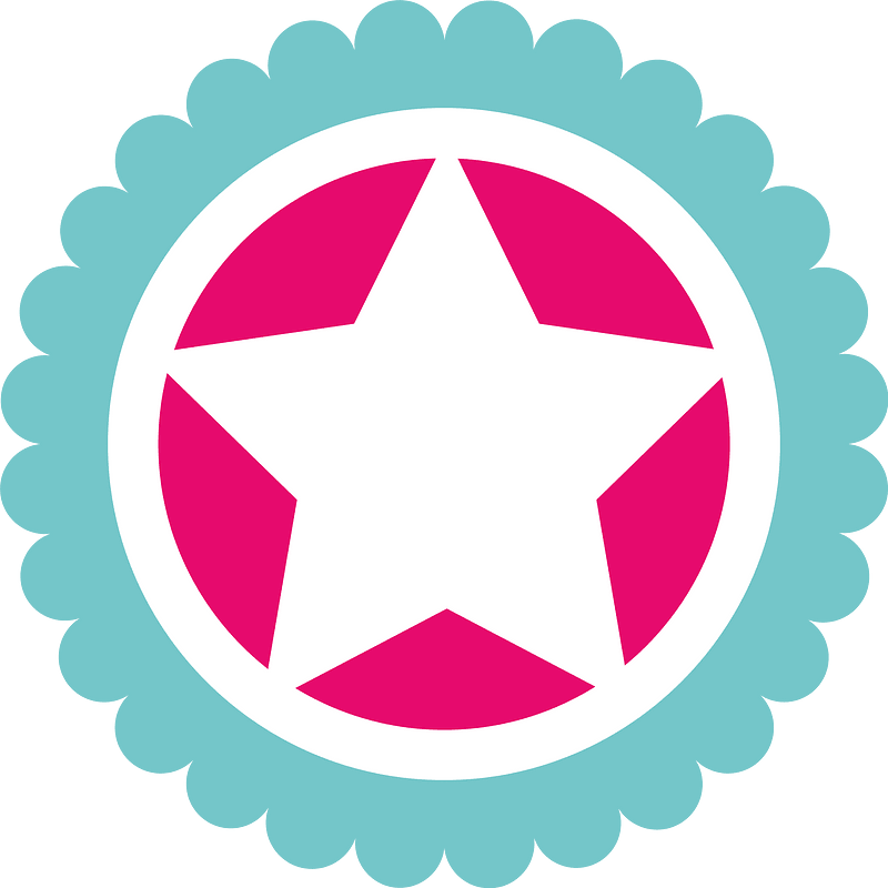 Star logotype concept