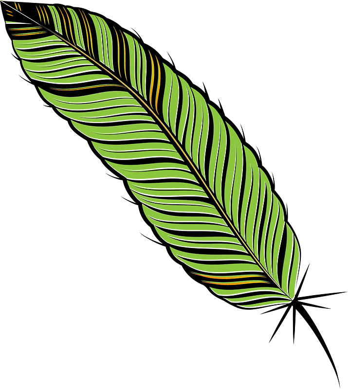 Quill green feather