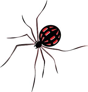 Spider with red spots