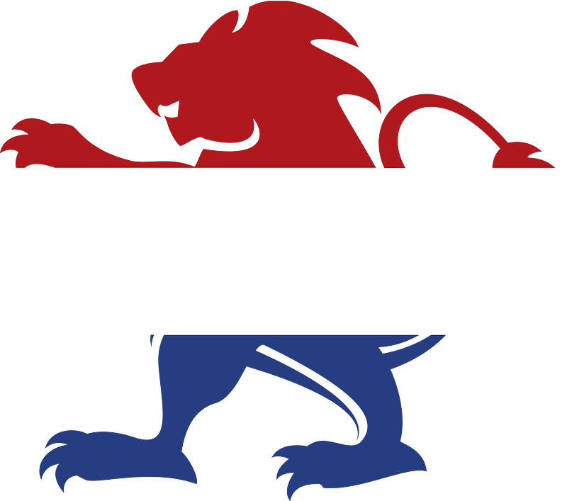 Dutch flag lion