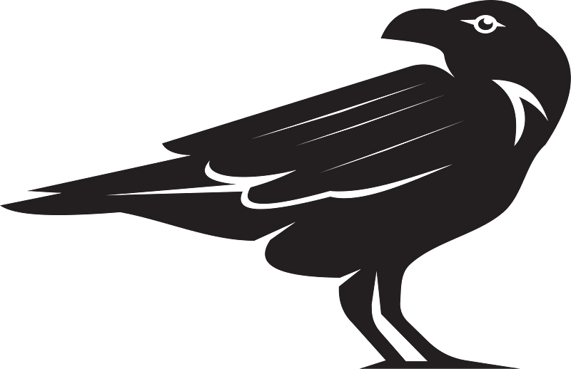 Crow bird silhouette