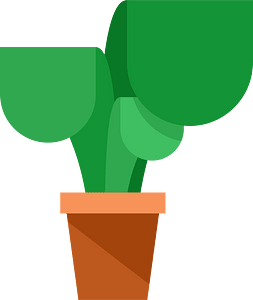 Green plant with big leaves