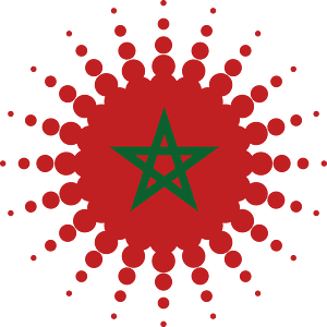 Morocco flag halftone design