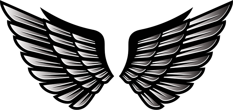 Wings tattoo art
