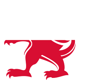 Polish flag heraldic lion