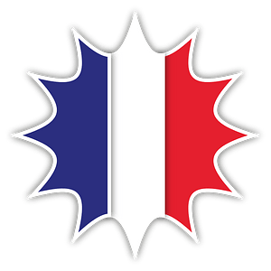 French flag blot art