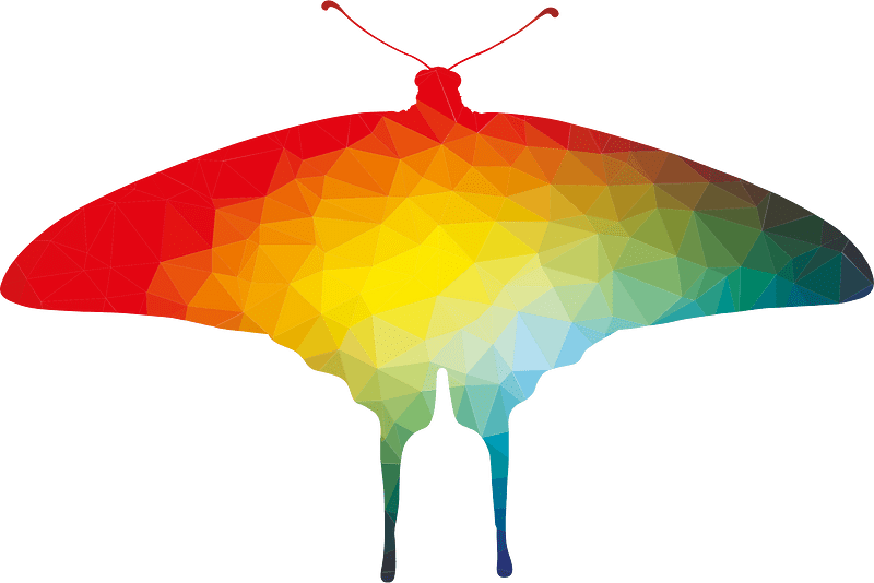 Butterfly colored silhouette