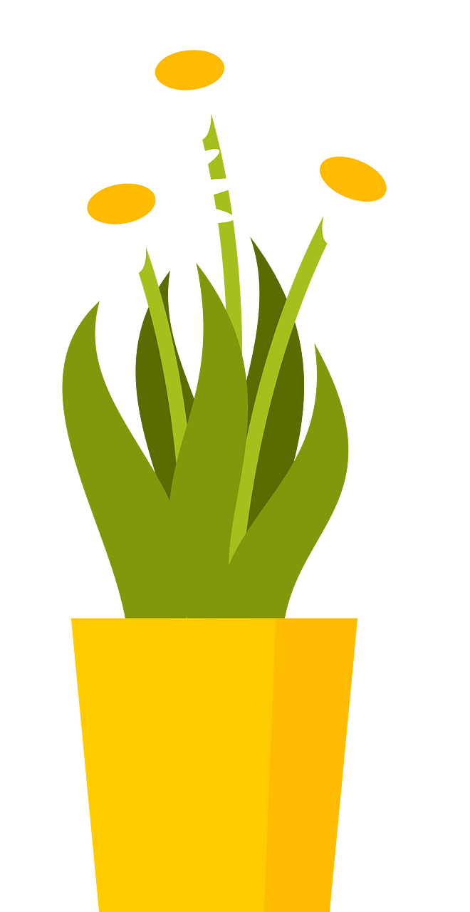 Daisies in a pot