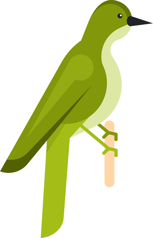 Green bird