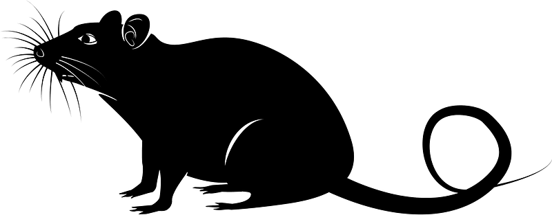 Rat mouse silhouette
