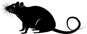 Rat mouse silhouette