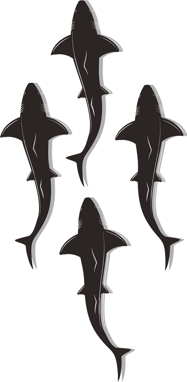 Sharks in a group