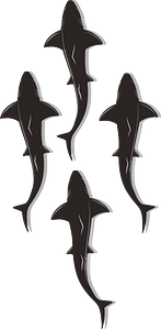 Sharks in a group