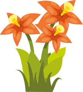 Beautiful flowers