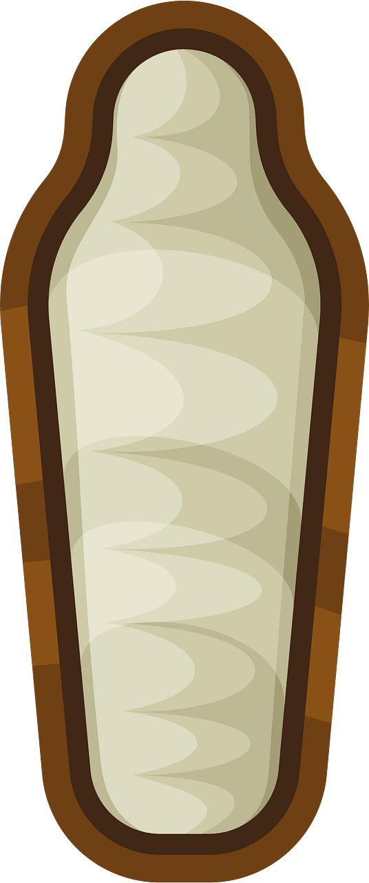 Mummy in sarcophagus