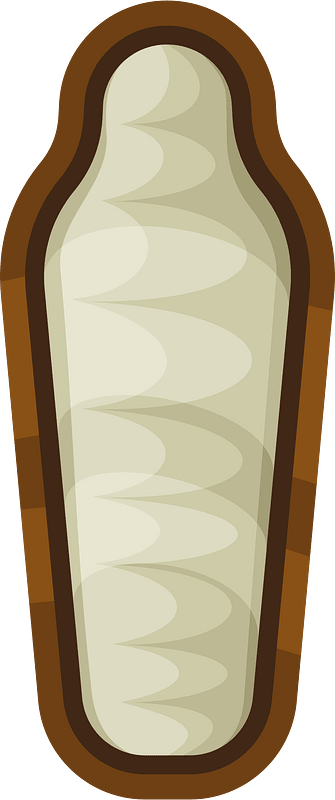 Mummy in sarcophagus