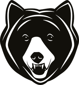 Black grizzly bear