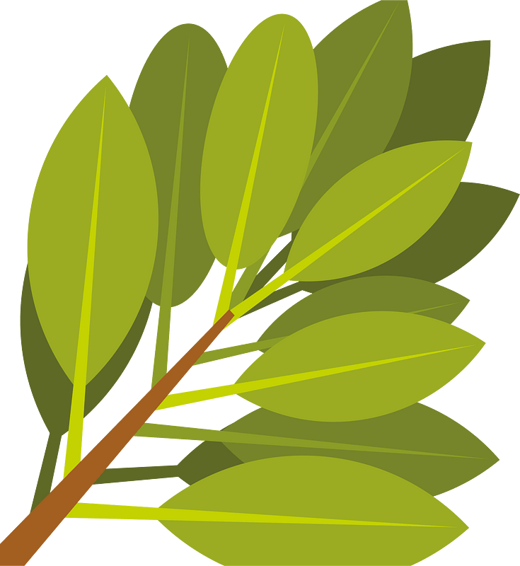 Branch with green leaves