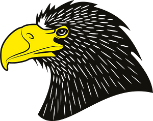 Eagle with yellow beak