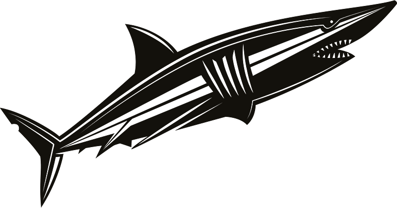 Shark in the water