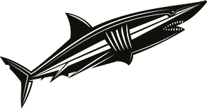 Shark in the water