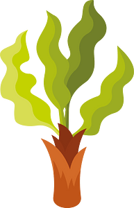 Small palm tree
