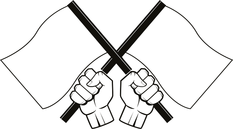 Hands holding flags