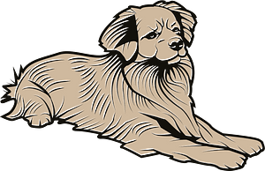 Dog pet