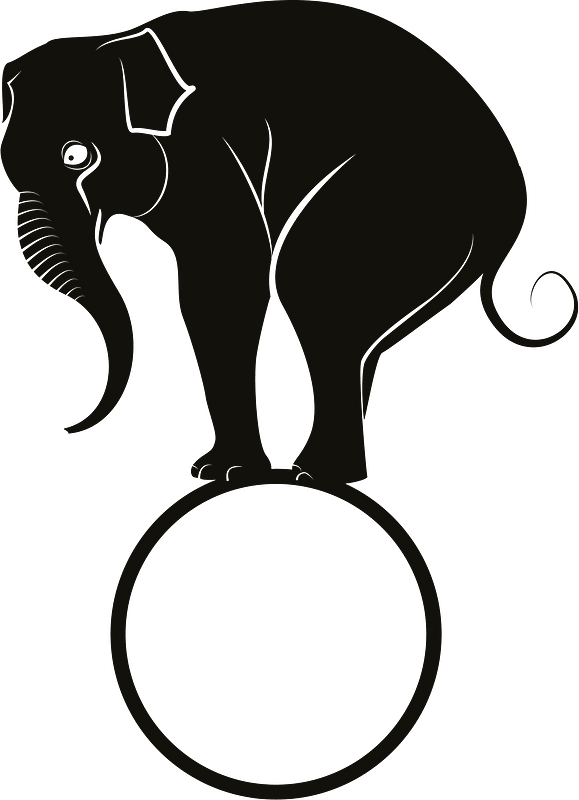 Elephant balancing on a ball