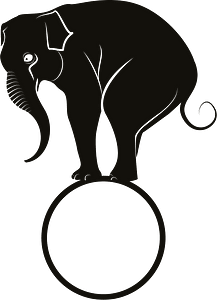Elephant balancing on a ball