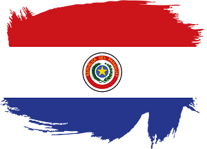 Painted flag of Paraguay