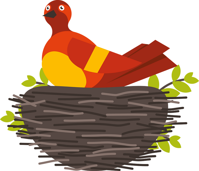 Bird in the nest