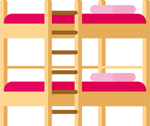 Bunk beds with a ladder