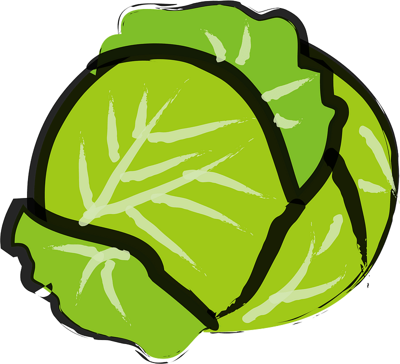 Cabbage Vegetable