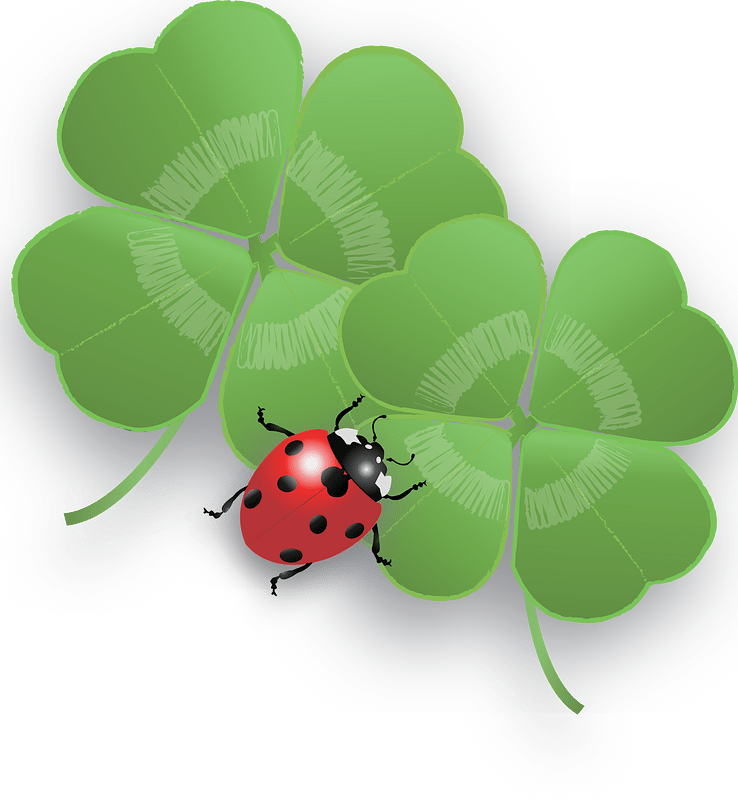 Ladybug on a Four-Leaf Clover