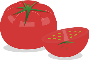 Tomato