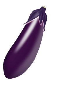 Eggplant Vegetable