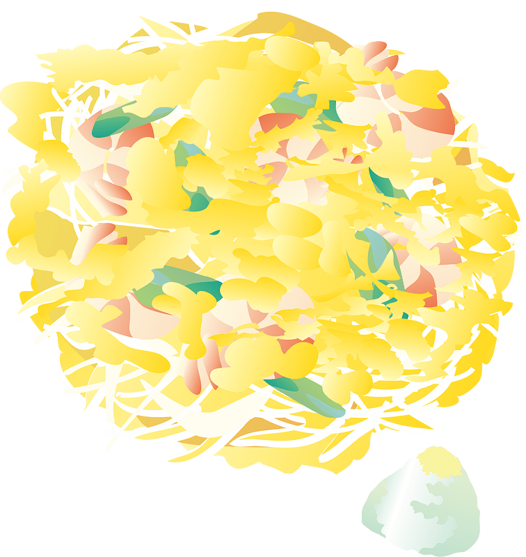 Japanese Kakiage Tempura Food