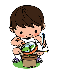 Little Kid Observes a Plant 